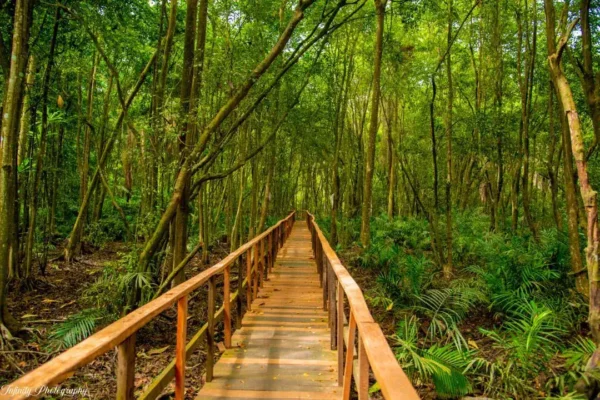 Lekki Conservation Centre Tour