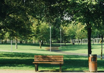 Top 12 Lagos Parks and Gardens to Host Your Outdoor Event