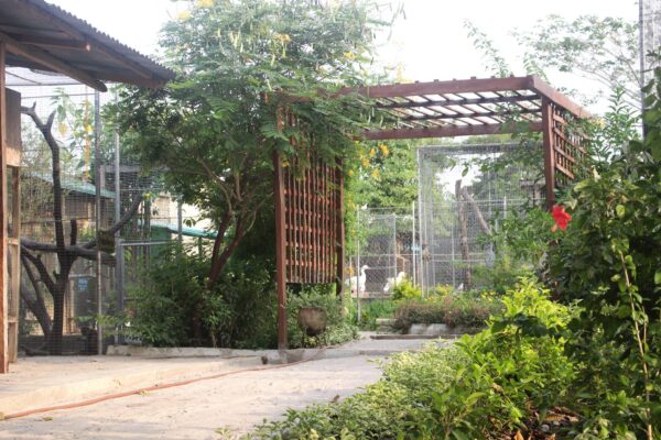 Greenfingers Wildlife Conservation Initiative