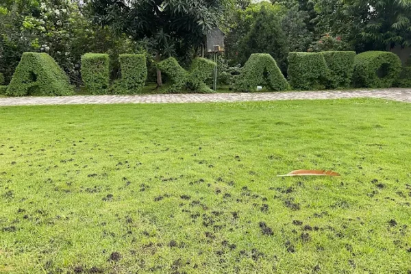 Auxano Gardens