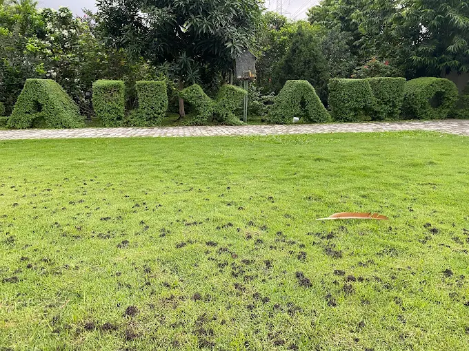 Auxano Gardens field in Port Harcourt