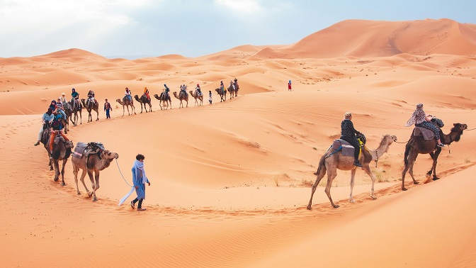 Tourists riding camels in the Sahara desrt in Morocco
